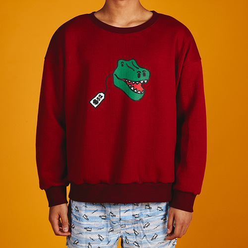 [MINU]Dino Toy sweatshirts[3color]