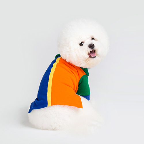 [두비독] 강아지 비비드 PK티셔츠
