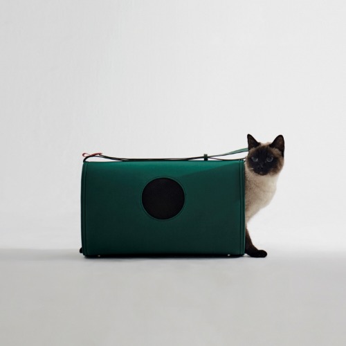 [호라이즌앤코 반려동물 이동장] House bag / Green [강아지와 고양이 이동가방]